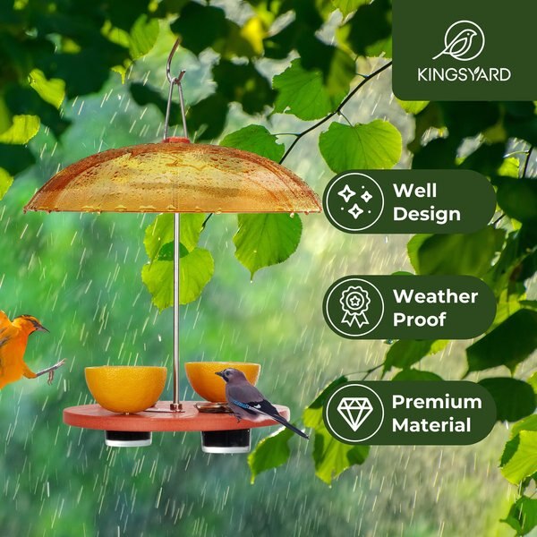 Kingsyard Oriole Bird Feeder with Protective Dome