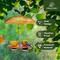 Show in main carousel: Kingsyard Oriole Bird Feeder with Protective Dome, Orange slide 5 of 6