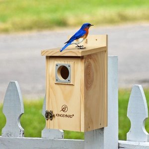 Kingsyard Wooden Bluebird House with Predator Guard, Natural Wood