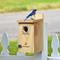 Show in main carousel: Kingsyard Wooden Bluebird House with Predator Guard, Natural Wood slide 4 of 6