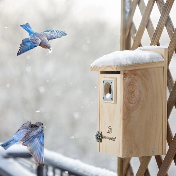 Kingsyard Wooden Bluebird House with Predator Guard, Natural Wood