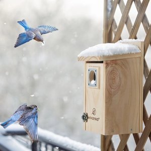 Kingsyard Wooden Bluebird House with Predator Guard, Natural Wood