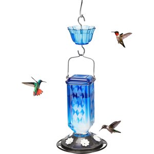 Kingsyard 24-oz Leak-Proof Glass Hummingbird Feeder with Ant Moat, Blue