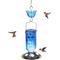 Show in main carousel: Kingsyard 24-oz Leak-Proof Glass Hummingbird Feeder with Ant Moat, Blue slide 1 of 8