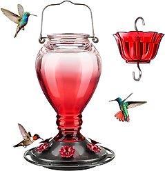 Kingsyard 24-oz Leak Proof Glass Hummingbird Feeder with Ant Moat, Light Pink + Red