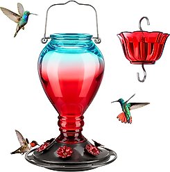 Kingsyard 24-oz Leak Proof Glass Hummingbird Feeder with Ant Moat, Aqua Blue + Red