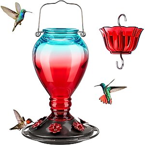 Kingsyard 24-oz Leak Proof Glass Hummingbird Feeder with Ant Moat, Aqua Blue + Red