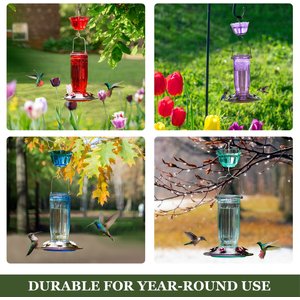 Kingsyard 16-oz Glass Hummingbird Feeder with Ant Moat, Purple