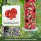 Show in main carousel: Kingsyard Metal Tube Wild Bird Feeder, Red slide 5 of 8