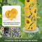 Show in main carousel: Kingsyard Metal Tube Wild Bird Feeder, Golden Yellow slide 5 of 8