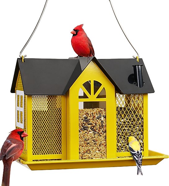 Kingsyard Wild Bird House & Triple Feeder