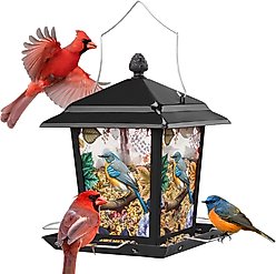 Kingsyard Hopper Wild Bird Feeder with Detachable Roof, Black