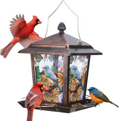 Kingsyard Hopper Wild Bird Feeder with Detachable Roof, Antique Bronze