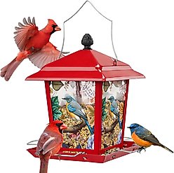 Kingsyard Hopper Wild Bird Feeder with Detachable Roof, Red