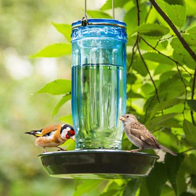 Show full view: Kingsyard Glass Waterer Wild Bird Feeder, Ocean Blue slide 9 of 11