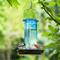 Show in main carousel: Kingsyard Glass Waterer Wild Bird Feeder, Ocean Blue slide 8 of 11