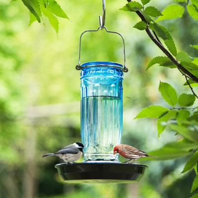 Show full view: Kingsyard Glass Waterer Wild Bird Feeder, Ocean Blue slide 8 of 11