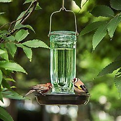 Kingsyard Glass Waterer Wild Bird Feeder, Green slide 2 of 8