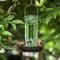 Show in main carousel: Kingsyard Glass Waterer Wild Bird Feeder, Green slide 8 of 10
