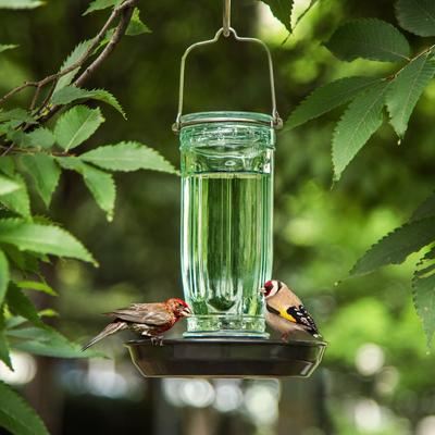 Show full view: Kingsyard Glass Waterer Wild Bird Feeder, Green slide 8 of 10