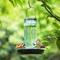 Show in main carousel: Kingsyard Glass Waterer Wild Bird Feeder, Green slide 7 of 10