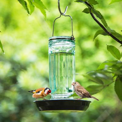 Show full view: Kingsyard Glass Waterer Wild Bird Feeder, Green slide 7 of 10