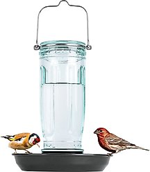 Kingsyard Glass Waterer Wild Bird Feeder, Green slide 1 of 8
