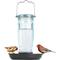Show in main carousel: Kingsyard Glass Waterer Wild Bird Feeder, Green slide 1 of 10