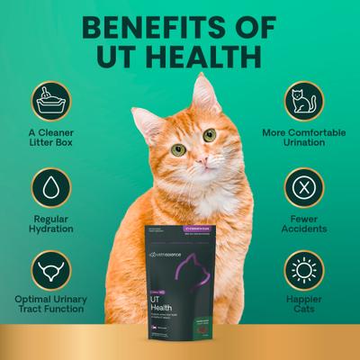 Show full view: VetriScience UT Strength Feline Chicken Liver Flavored Soft Chews Urinary Supplement for Cats, 60 count slide 6 of 10