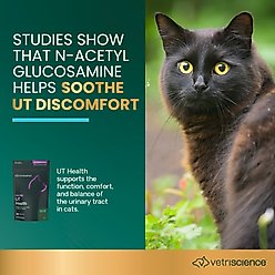VetriScience UT Strength Feline Chicken Liver Flavored Soft Chews Urinary Supplement for Cats, 60 count slide 2 of 8