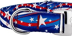 Country Brook Petz Premium Star Spangled Dog Collar, Large: 16 to 22-in neck, 1-in wide slide 2 of 5