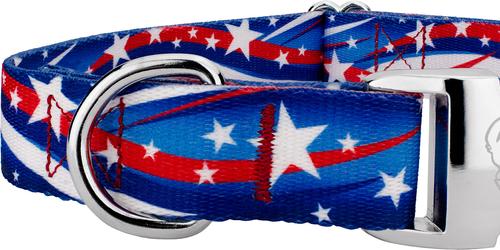 Show full view: Country Brook Petz Premium Star Spangled Dog Collar, Large: 16 to 22-in neck, 1-in wide slide 5 of 5