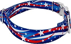 Country Brook Petz Premium Star Spangled Dog Collar, Medium: 13 to 16-in neck, 1-in wide slide 2 of 5