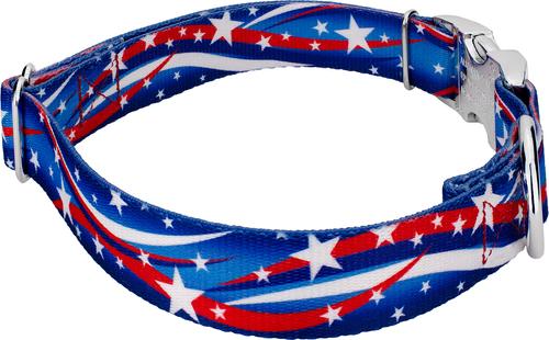Show full view: Country Brook Petz Premium Star Spangled Dog Collar, Large: 16 to 22-in neck, 1-in wide slide 4 of 5