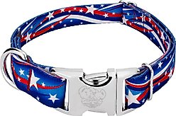 Country Brook Petz Premium Star Spangled Dog Collar, Large: 16 to 22-in neck, 1-in wide