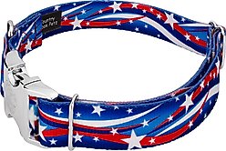 Country Brook Petz Premium Star Spangled Dog Collar, X-Large: 18 to 26-in neck, 1-in wide slide 2 of 5