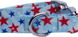 Country Brook Petz Premium American Celebration Dog Collar, Small: 11 to 13-in neck, 5/8-in wide slide 2 of 5