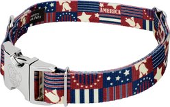 Country Brook Petz Premium Spirit of '76 Dog Collar, X-Large: 18 to 26-in neck, 1-in wide slide 2 of 7