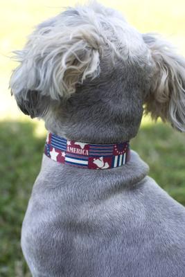 Show full view: Country Brook Petz Premium Spirit of '76 Dog Collar, Small: 11 to 13-in neck, 5/8-in wide slide 3 of 8