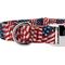 Show in main carousel: Country Brook Petz Premium Patriotic Tribute Dog Collar, Large: 16 to 22-in neck, 1-in wide slide 7 of 7