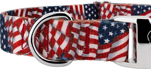 Show full view: Country Brook Petz Premium Patriotic Tribute Dog Collar, Large: 16 to 22-in neck, 1-in wide slide 7 of 7