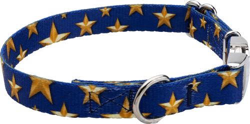 Show full view: Country Brook Petz Premium Duty Honor Country Dog Collar, Small: 11 to 13-in neck, 5/8-in wide slide 6 of 7
