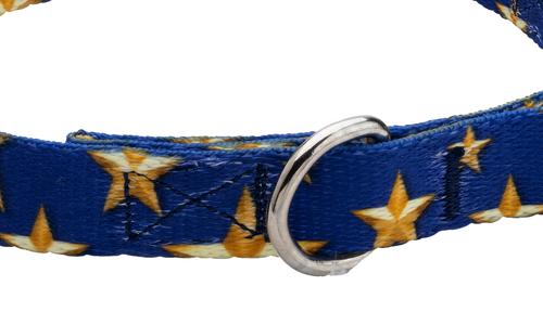 Show full view: Country Brook Petz Premium Duty Honor Country Dog Collar, Small: 11 to 13-in neck, 5/8-in wide slide 7 of 7