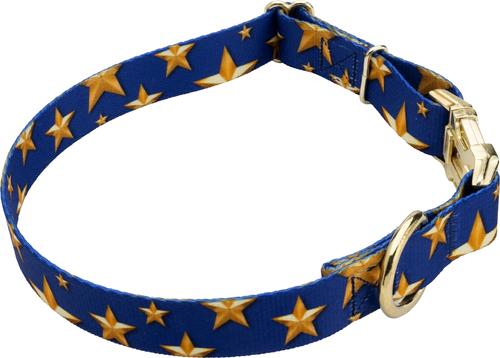 Show full view: Country Brook Petz Premium Duty Honor Country Dog Collar, Medium: 13 to 16-in neck, 1-in wide slide 6 of 7