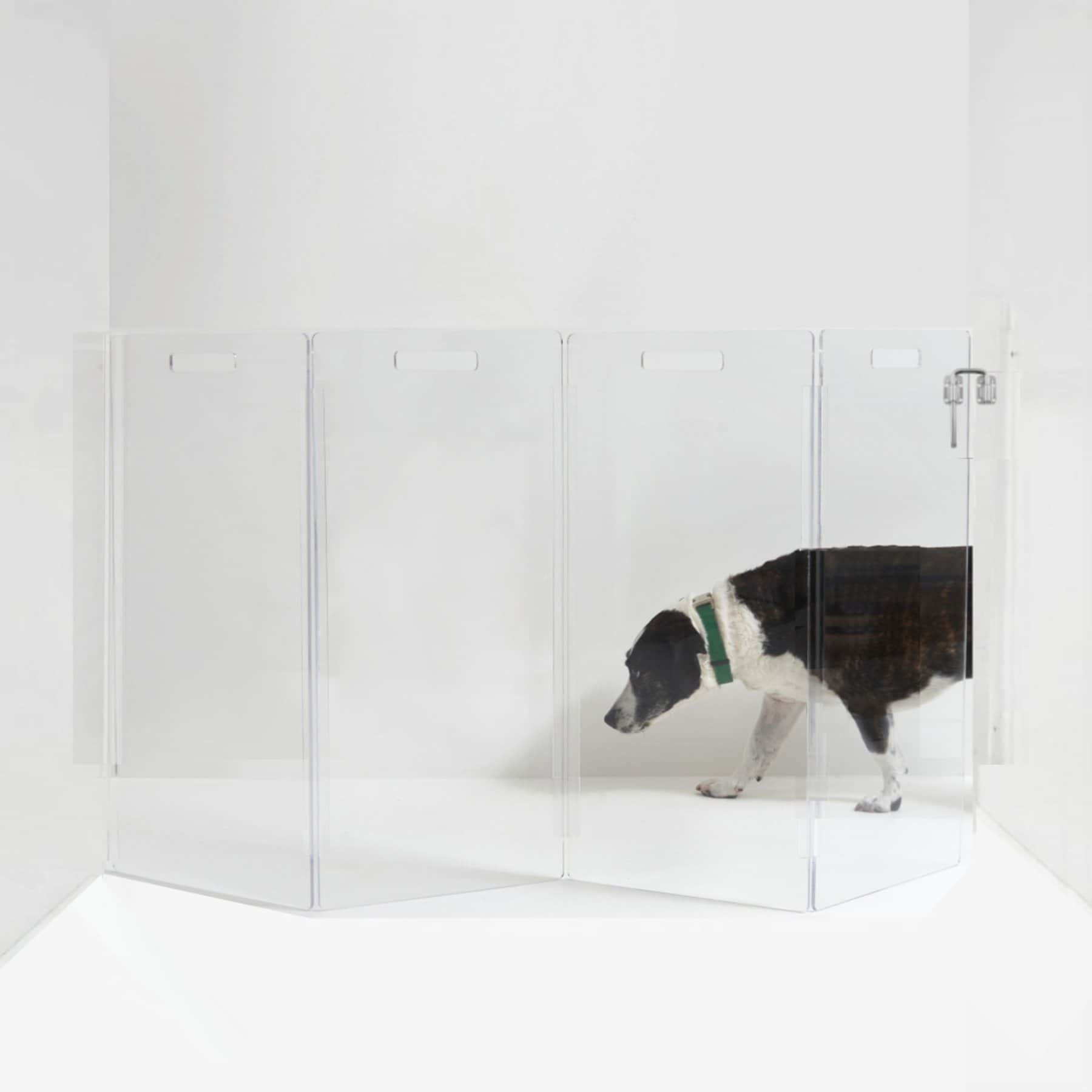 Hiddin Clear Wall Mounted Tall Zig Zag Dog Gate, Clear, Silver, 4-Panel