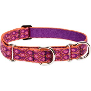LupinePet Martingale Dog Collar, Alpen Glow, Large: 15 to 22-in