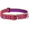 Show in main carousel: LupinePet Martingale Dog Collar, Alpen Glow, X-Large: 19 to 27-in slide 1 of 7