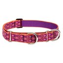 LupinePet Martingale Dog Collar, Alpen Glow, Large: 15 to 22-in