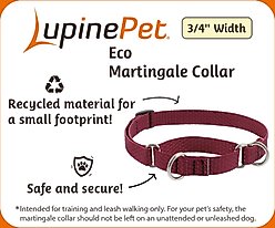 LupinePet ECO Recycled Martingale Dog Collar, Berry, Medium: 14 to 20-in slide 2 of 6