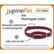 Show in main carousel: LupinePet ECO Recycled Martingale Dog Collar, Lilac, Small: 10 to 14-in slide 2 of 6